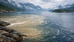 Elveplumer forklart: ferskvannslaget som kan endre fjorder, klima og økologi