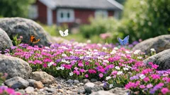 Gjøksnellik i hagen: stauden som dekker jorda og blomstrer lenge