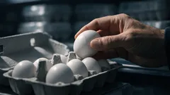 Slik velger du ferske egg i butikken – uten å la deg lure av størrelsen