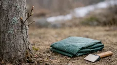 Vårstell av epletre: slik fjerner du lav skånsomt og gir treet en frisk start